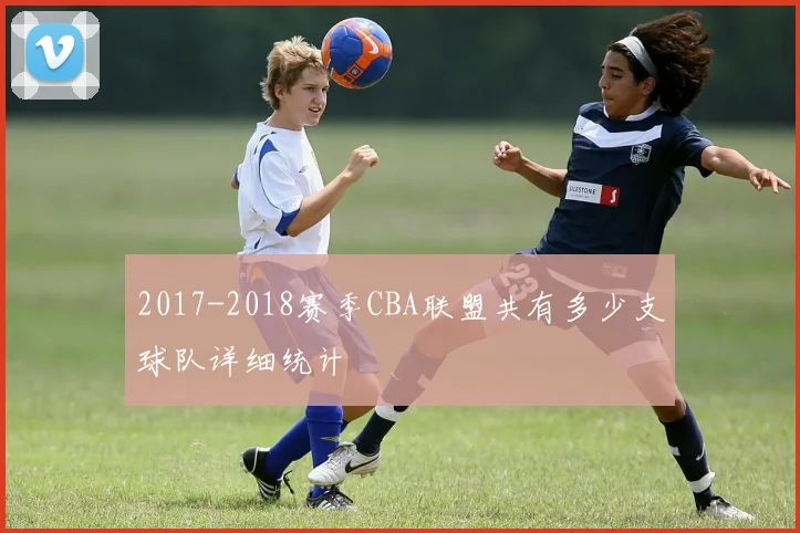 2017-2018赛季CBA联盟共有多少支球队详细统计