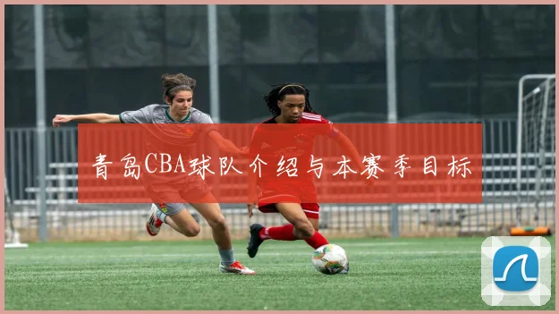青岛CBA球队介绍与本赛季目标
