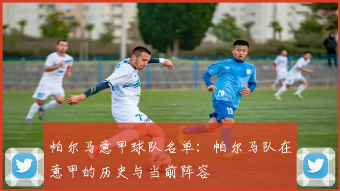 帕尔马意甲球队名单：帕尔马队在意甲的历史与当前阵容